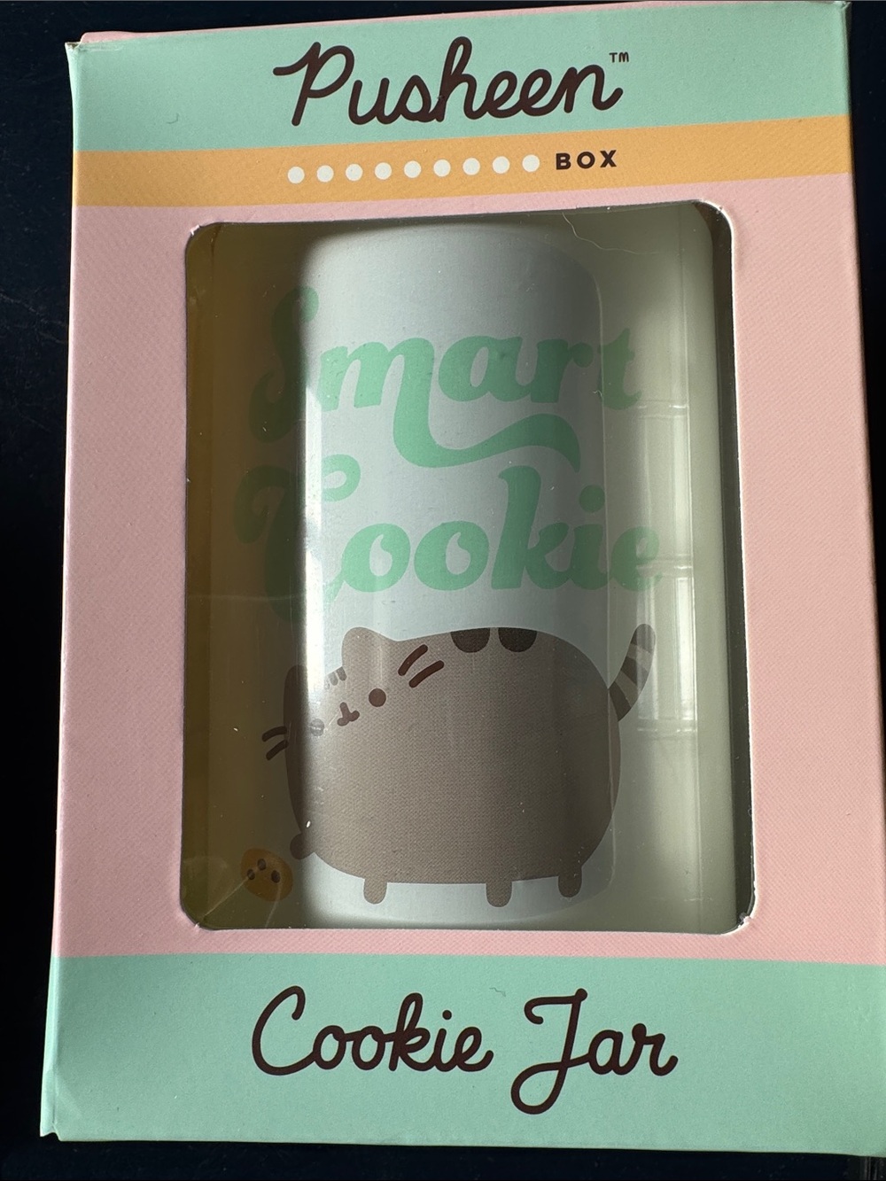 Pusheen cookie jar New in Box